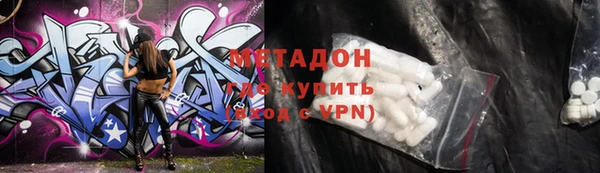 индика Новодвинск