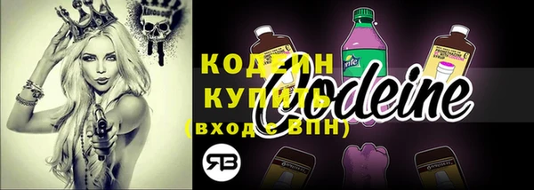 МДПВ Нея