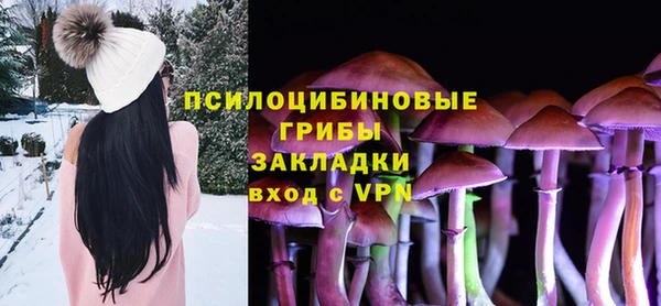 mix Надым